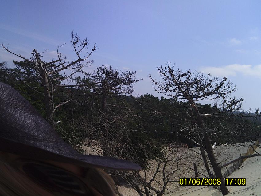 ferie 2011 017 - Kopi.jpg